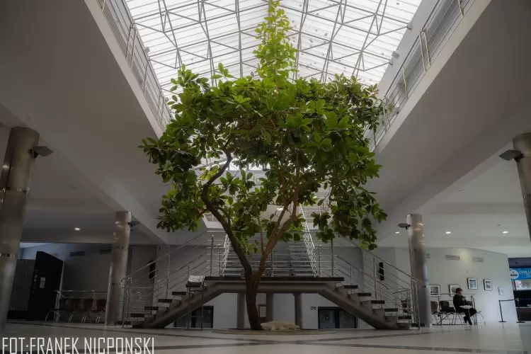 Galeria Wyższa Szkoła Biznesu - National Louis University w Nowym Sączu