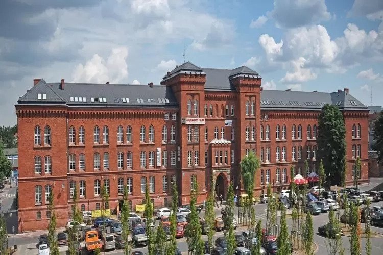 Najpopularniejsze kierunki studiów w Toruniu
